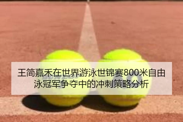 王简嘉禾在世界游泳世锦赛800米自由泳冠军争夺中的冲刺策略分析